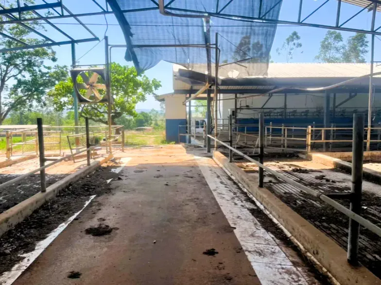 Fazenda em Cezarina/Goiás — Ref 38LWLT — Imagem 4