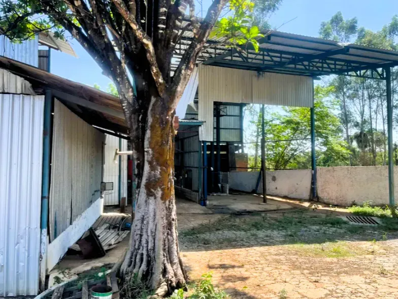 Fazenda em Cezarina/Goiás — Ref 38LWLT — Imagem 9