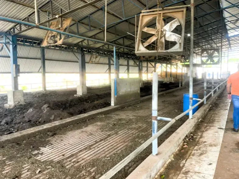 Fazenda em Cezarina/Goiás — Ref 38LWLT — Imagem 10