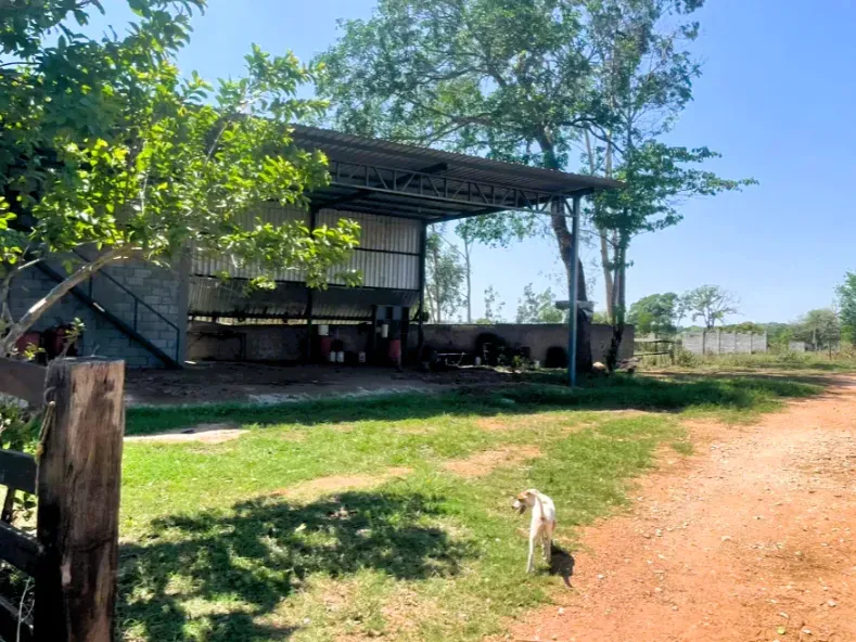 Fazenda em Cezarina/Goiás — Ref 38LWLT — Imagem 15