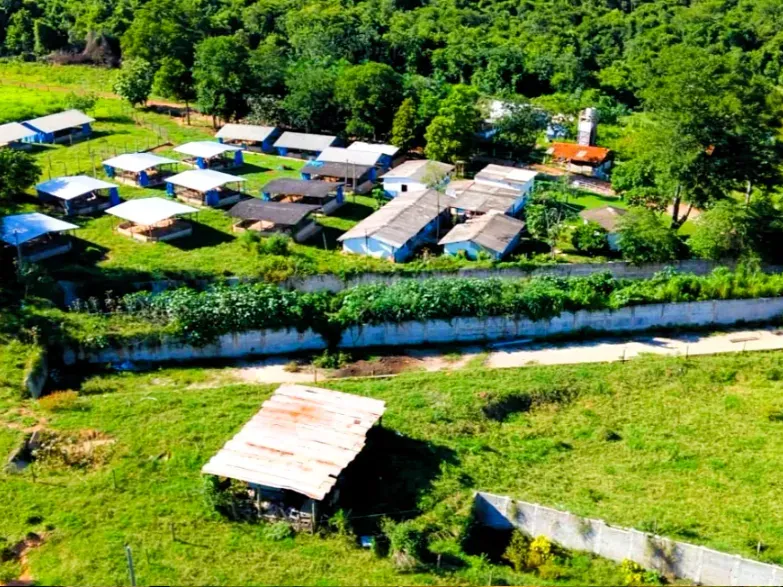 Fazenda em Cezarina/Goiás — Ref 38LWLT — Imagem 17