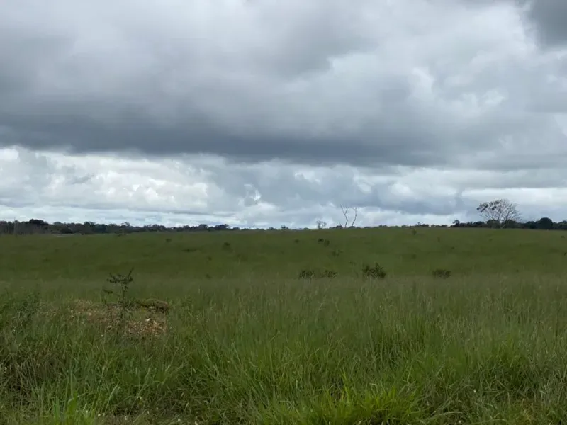 Fazenda em Vilhena/Rondônia — Ref YM9WEV — Imagem 11