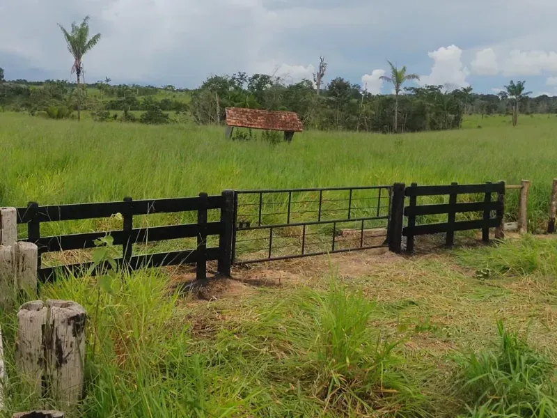 Fazenda em Vilhena/Rondônia — Ref YM9WEV — Imagem 2