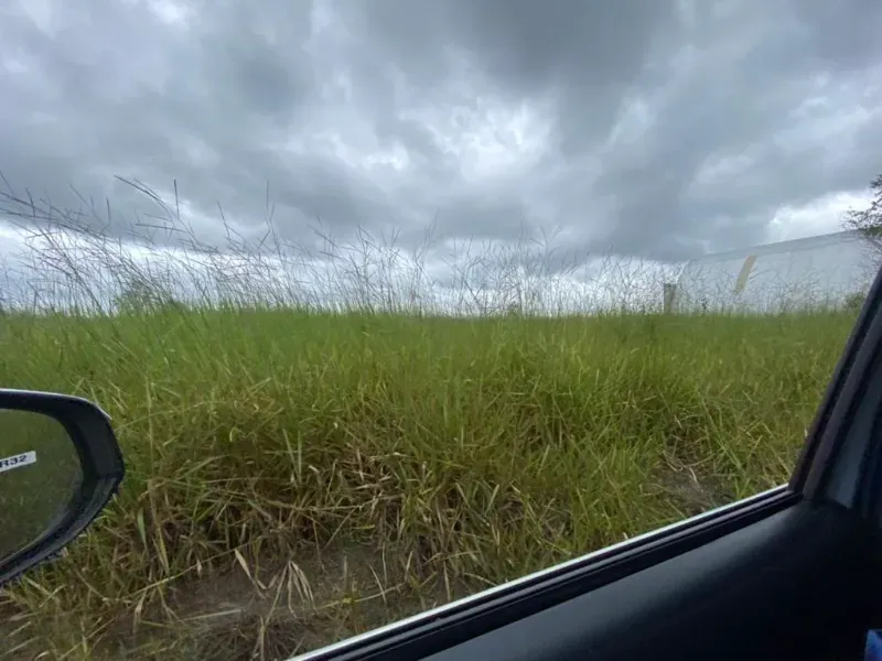 Fazenda em Vilhena/Rondônia — Ref YM9WEV — Imagem 13