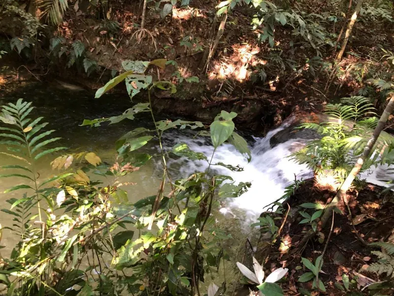 Fazenda em Vilhena/Rondônia — Ref YM9WEV — Imagem 5