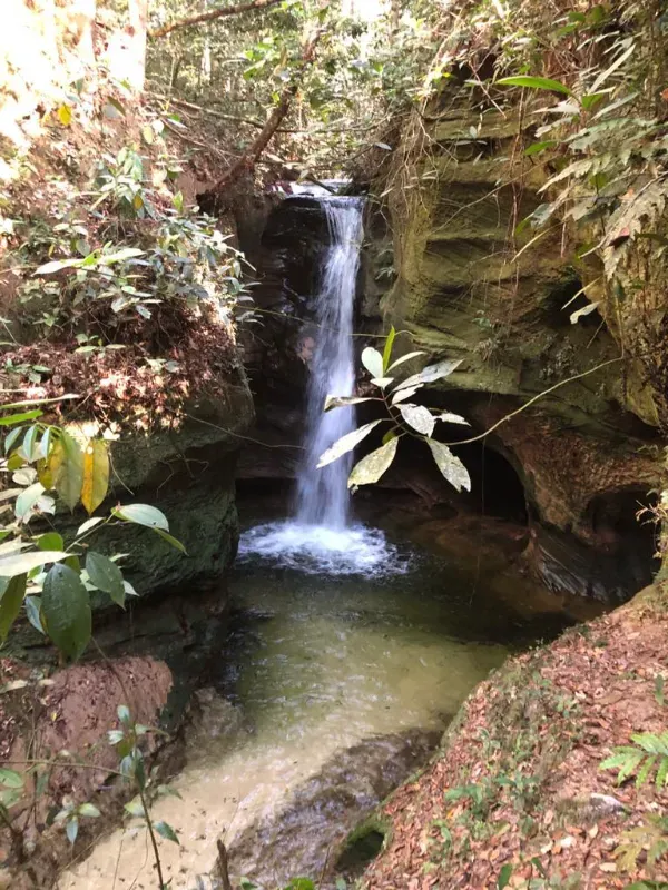 Fazenda em Vilhena/Rondônia — Ref YM9WEV — Imagem 4