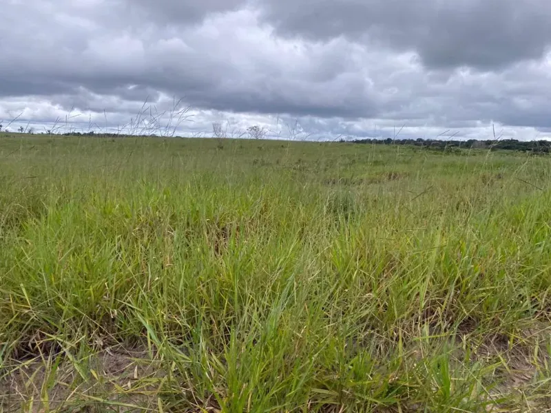 Fazenda em Vilhena/Rondônia — Ref YM9WEV — Imagem 3