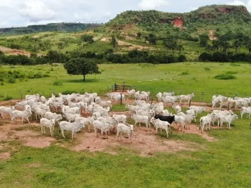 Imóvel rural em Cáceres/Mato Grosso — Ref 8K8AB41