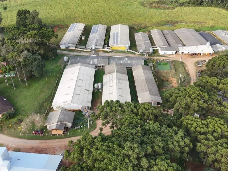 Fazenda em Canoinhas/Santa Catarina — Ref 77K9JO — Imagem 2