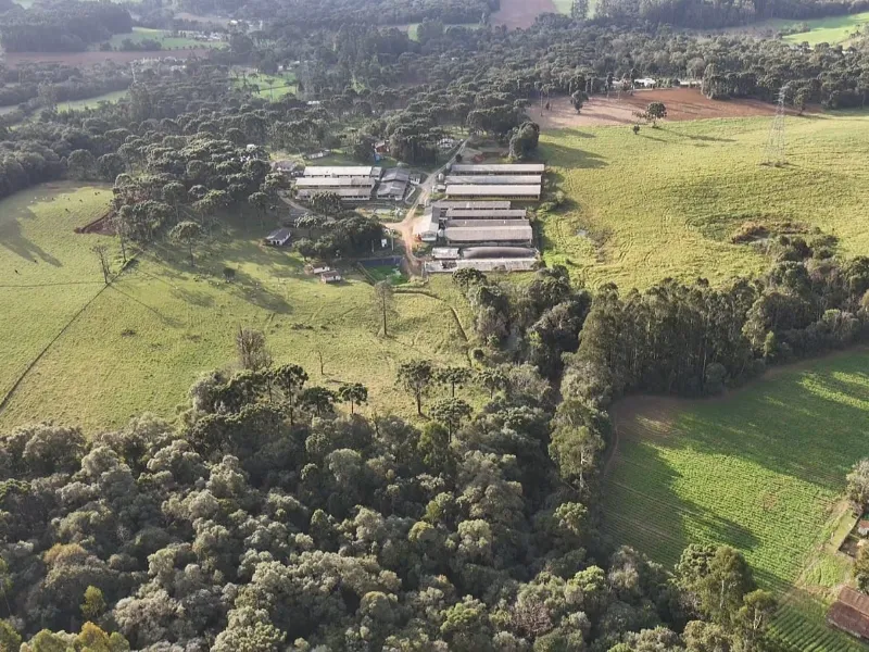 Fazenda em Canoinhas/Santa Catarina — Ref 77K9JO — Imagem 4