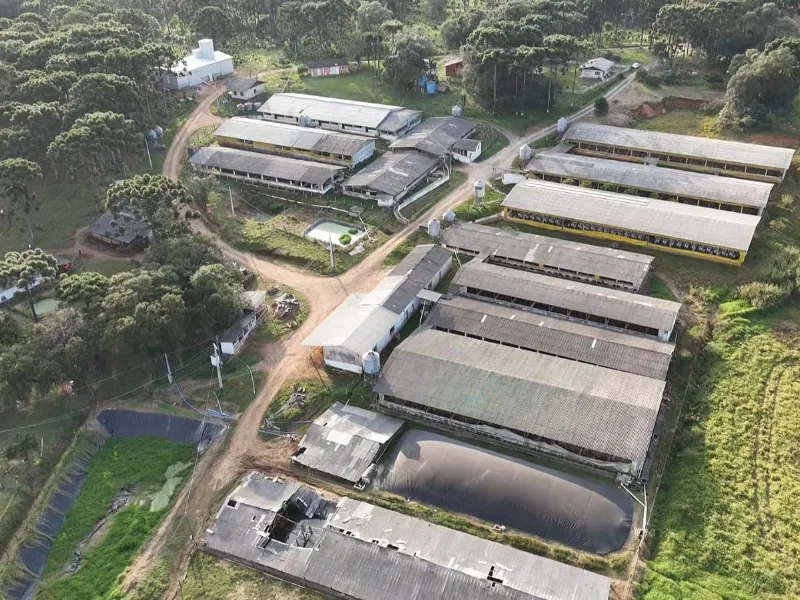 Fazenda em Canoinhas/Santa Catarina — Ref 77K9JO — Imagem 3