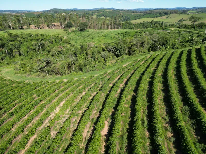 Fazenda em Poços de Caldas/Minas Gerais — Ref R0KTFW — Imagem 2