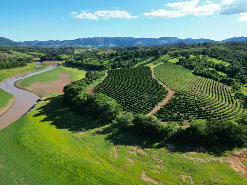 Fazenda em Poços de Caldas/Minas Gerais — Ref R0KTFW — Imagem 5