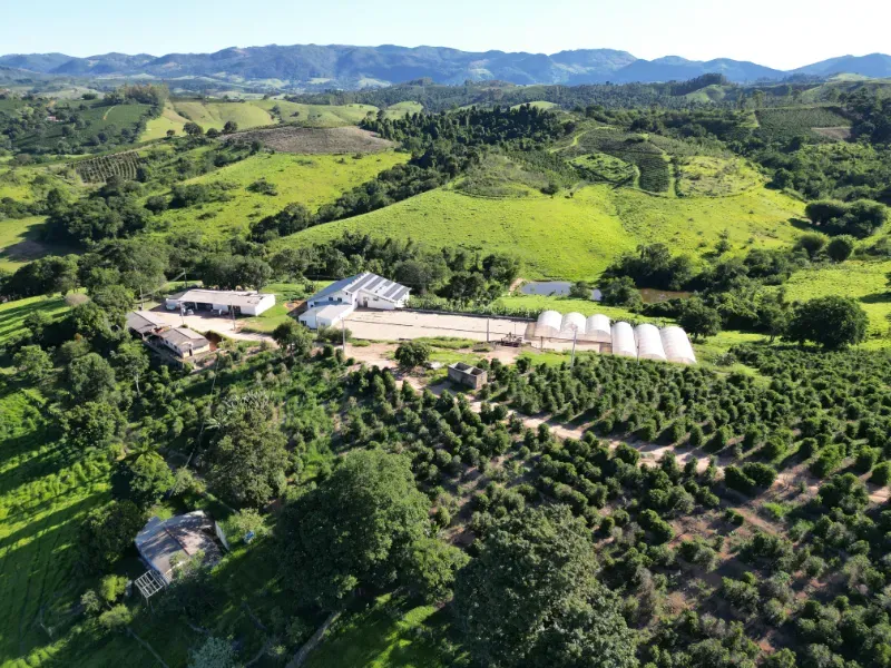 Fazenda em Poços de Caldas/Minas Gerais — Ref R0KTFW — Imagem 7