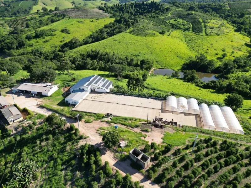 Fazenda em Poços de Caldas/Minas Gerais — Ref R0KTFW — Imagem 8