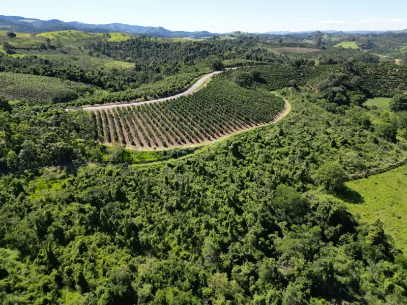 Fazenda em Poços de Caldas/Minas Gerais — Ref R0KTFW — Imagem 9