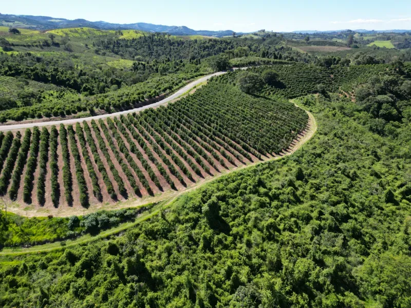 Fazenda em Poços de Caldas/Minas Gerais — Ref R0KTFW — Imagem 10