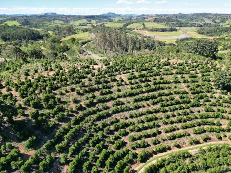 Fazenda em Poços de Caldas/Minas Gerais — Ref R0KTFW — Imagem 11