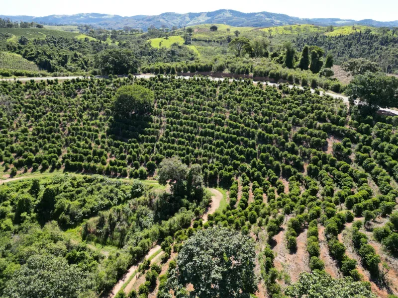 Fazenda em Poços de Caldas/Minas Gerais — Ref R0KTFW — Imagem 12