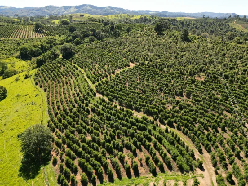 Fazenda em Poços de Caldas/Minas Gerais — Ref R0KTFW — Imagem 15