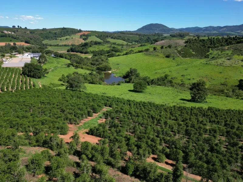 Fazenda em Poços de Caldas/Minas Gerais — Ref R0KTFW — Imagem 17