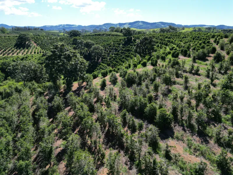 Fazenda em Poços de Caldas/Minas Gerais — Ref R0KTFW — Imagem 19