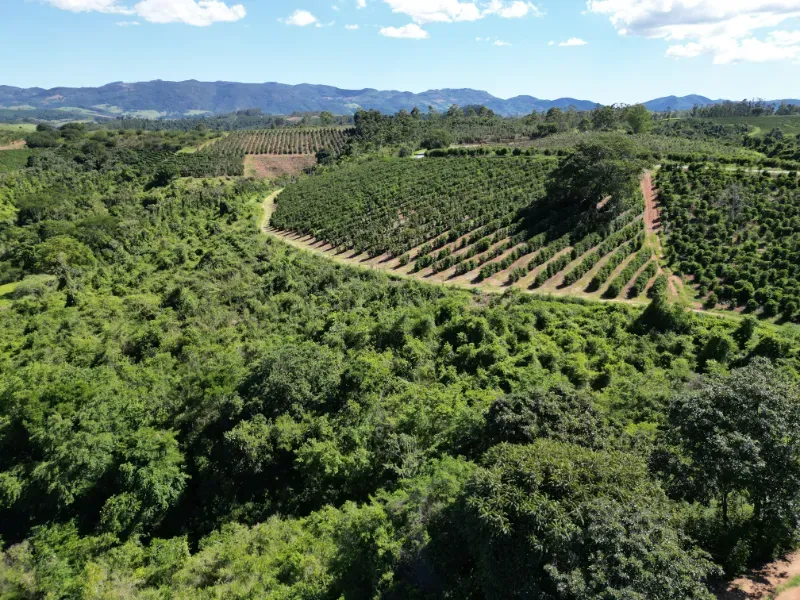 Fazenda em Poços de Caldas/Minas Gerais — Ref R0KTFW — Imagem 20