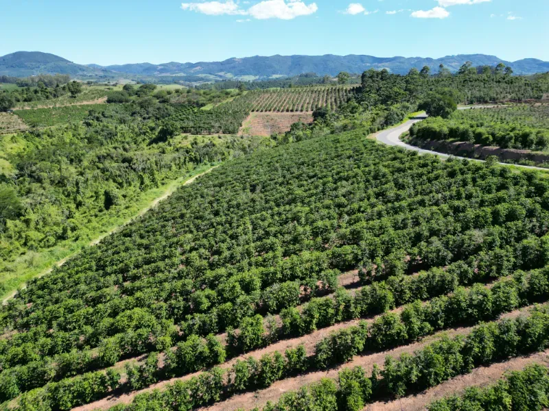 Fazenda em Poços de Caldas/Minas Gerais — Ref R0KTFW — Imagem 21