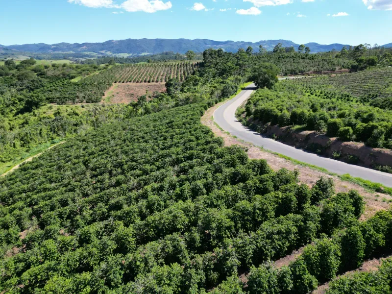Fazenda em Poços de Caldas/Minas Gerais — Ref R0KTFW — Imagem 22