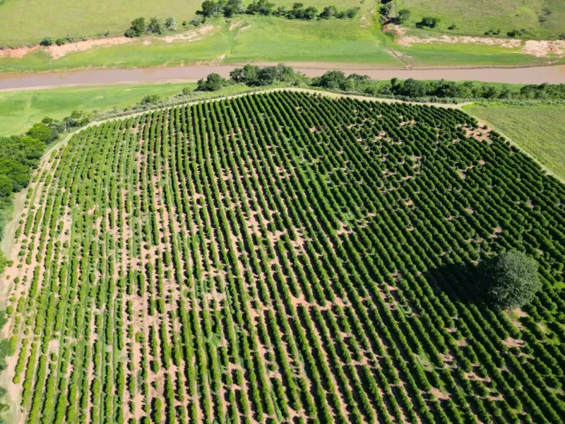Fazenda em Poços de Caldas/Minas Gerais — Ref R0KTFW — Imagem 27