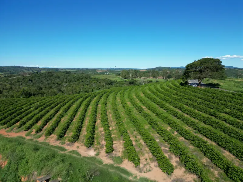 Fazenda em Poços de Caldas/Minas Gerais — Ref R0KTFW — Imagem 29