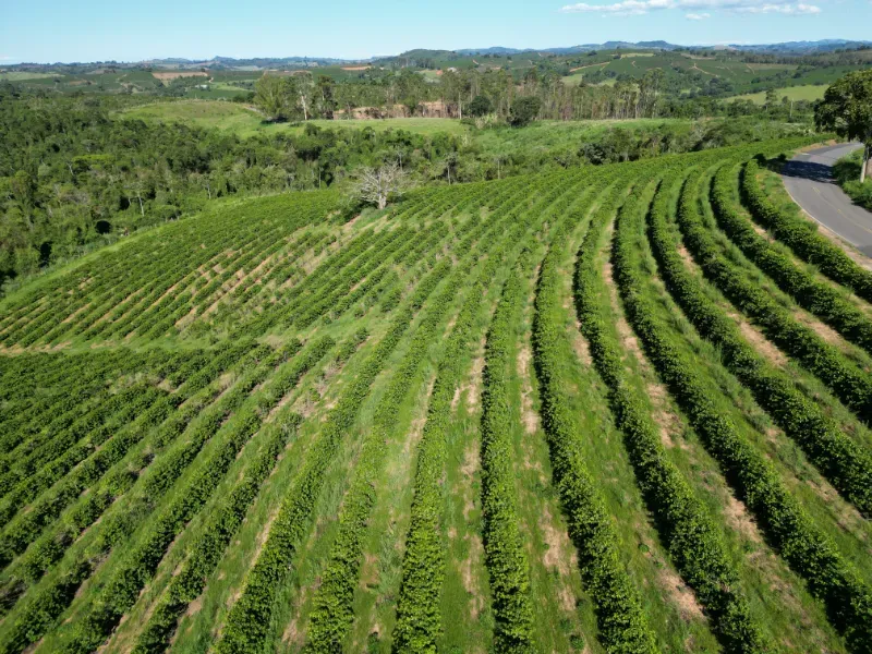Fazenda em Poços de Caldas/Minas Gerais — Ref R0KTFW — Imagem 32