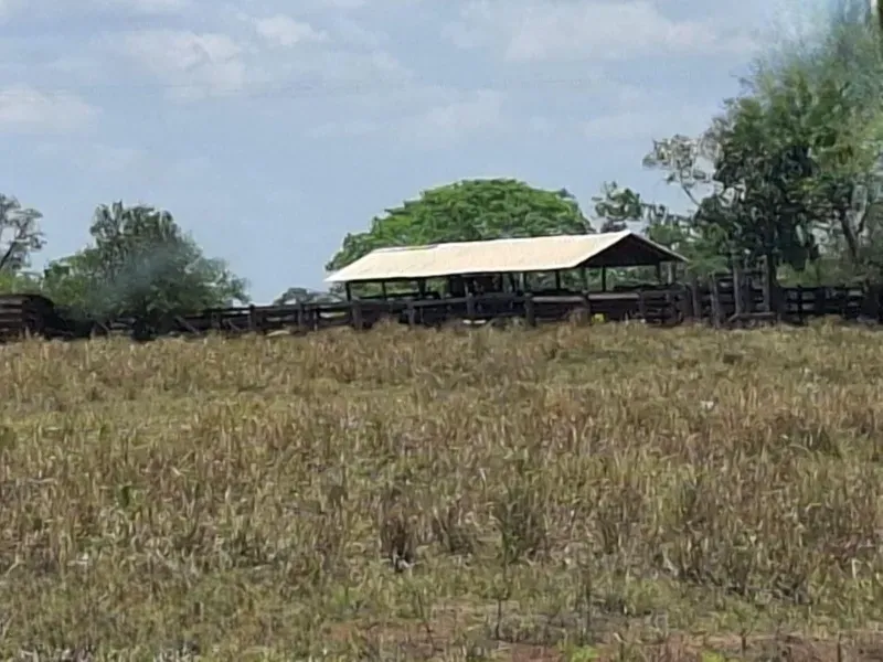 Fazenda em Campo Grande/Mato Grosso do Sul — Ref AQDEVR — Imagem 3