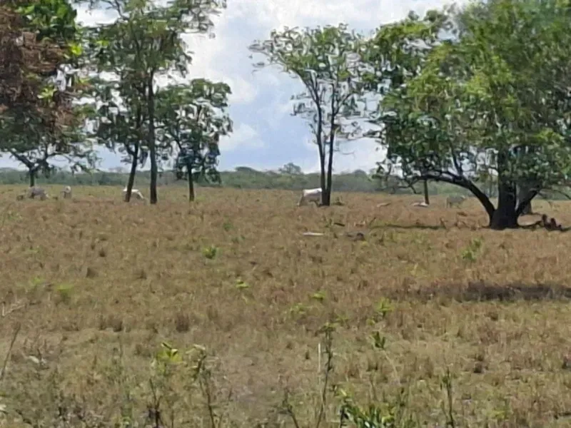 Fazenda em Campo Grande/Mato Grosso do Sul — Ref AQDEVR — Imagem 6