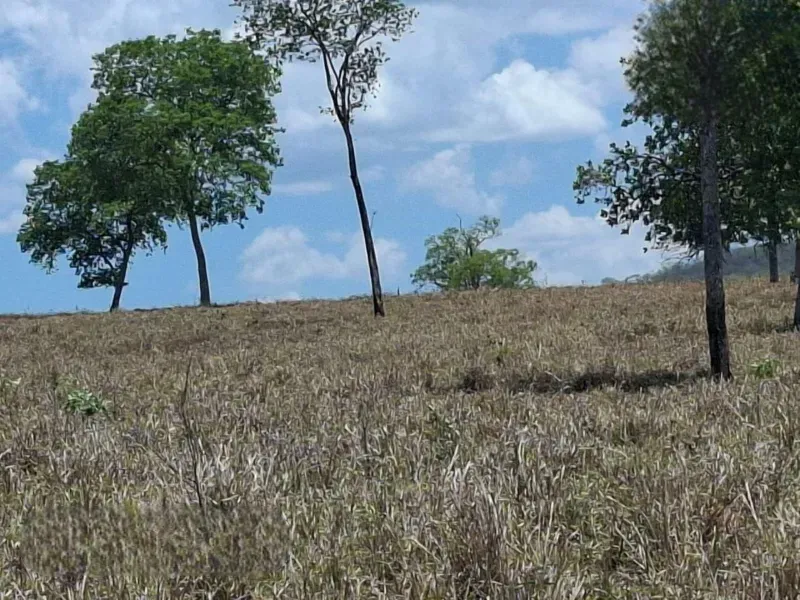 Fazenda em Campo Grande/Mato Grosso do Sul — Ref AQDEVR — Imagem 9