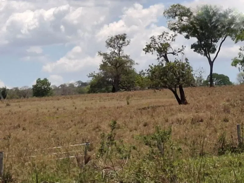 Fazenda em Campo Grande/Mato Grosso do Sul — Ref AQDEVR — Imagem 10