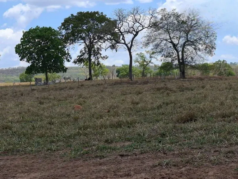 Fazenda em Campo Grande/Mato Grosso do Sul — Ref AQDEVR — Imagem 11