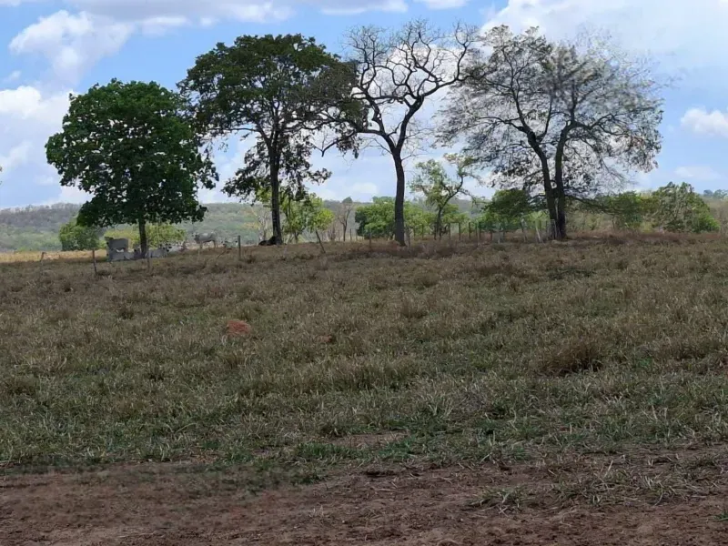 Fazenda em Campo Grande/Mato Grosso do Sul — Ref AQDEVR — Imagem 12
