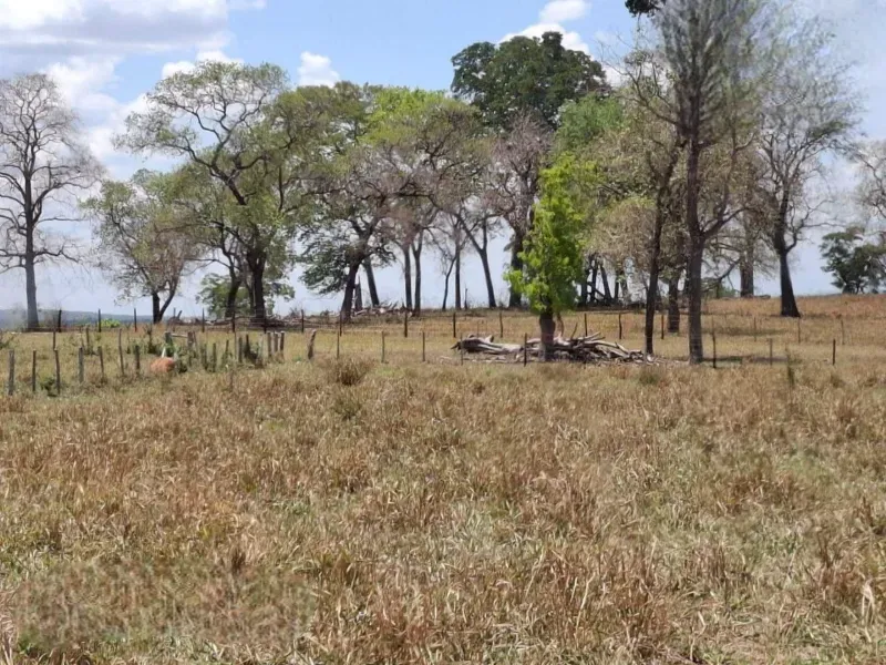Fazenda em Campo Grande/Mato Grosso do Sul — Ref AQDEVR — Imagem 13