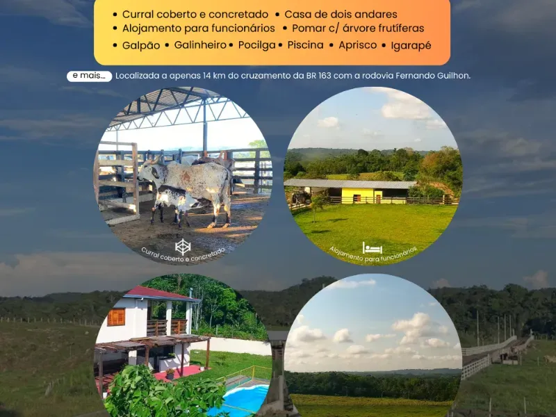 Fazenda em Santarém/Pará — Ref JYZCA2 — Imagem 8