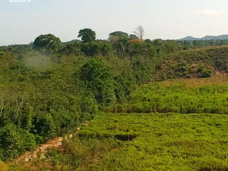 Fazenda em Santarém/Pará — Ref JYZCA2 — Imagem 3