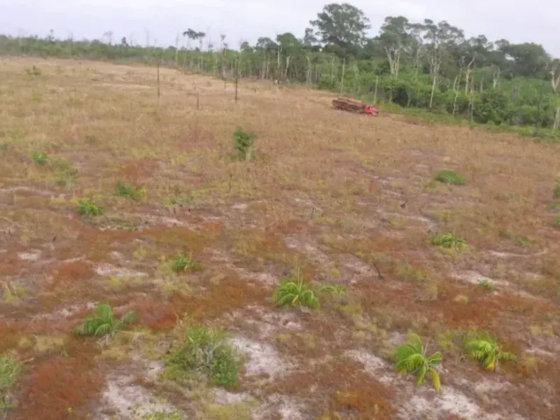 Imóvel rural em Boa Vista/Roraima — Ref X6SDZS1