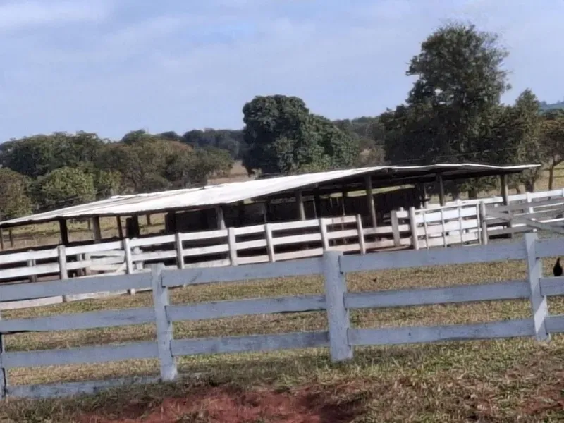 Fazenda em Campo Grande/Mato Grosso do Sul — Ref JQHO0G — Imagem 3