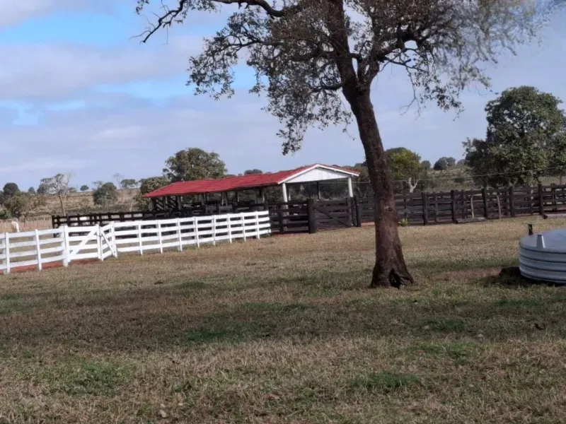 Fazenda em Campo Grande/Mato Grosso do Sul — Ref JQHO0G — Imagem 4