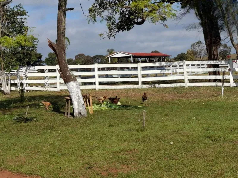 Fazenda em Campo Grande/Mato Grosso do Sul — Ref JQHO0G — Imagem 5