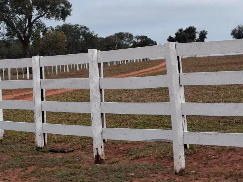 Fazenda em Campo Grande/Mato Grosso do Sul — Ref JQHO0G — Imagem 7