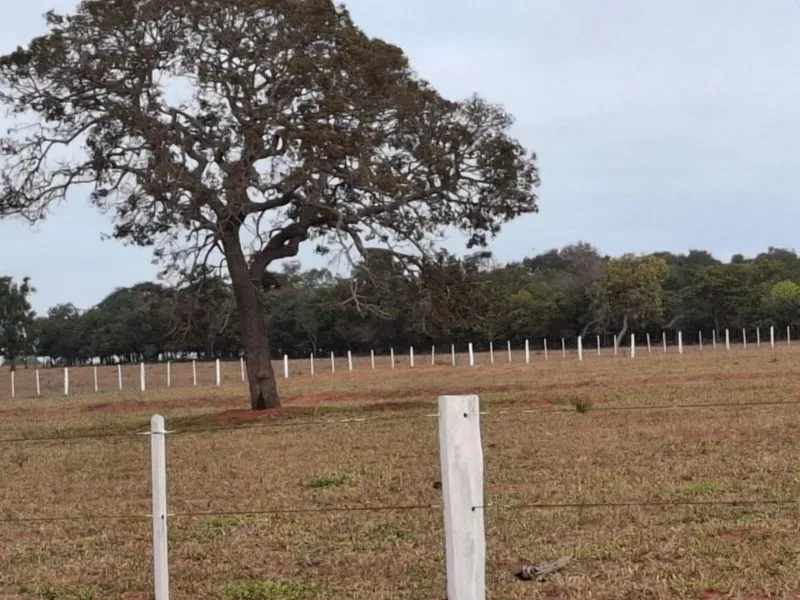 Fazenda em Campo Grande/Mato Grosso do Sul — Ref JQHO0G — Imagem 9