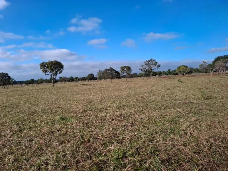 Fazenda em Campo Grande/Mato Grosso do Sul — Ref JQHO0G — Imagem 10