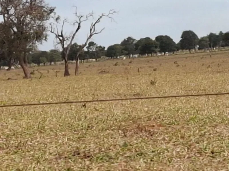 Fazenda em Campo Grande/Mato Grosso do Sul — Ref JQHO0G — Imagem 13