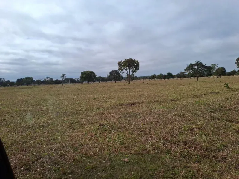 Fazenda em Campo Grande/Mato Grosso do Sul — Ref JQHO0G — Imagem 15